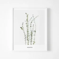 Sovrum|Tavlor & Posters|Poster Reform Poster - 'Eucalyptus'