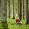 Stolar Vintage|Stolar|Reforma Stol 'Böda' - Natur/Brun
